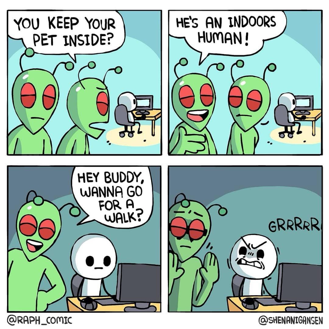 1732374185506.jpeg
