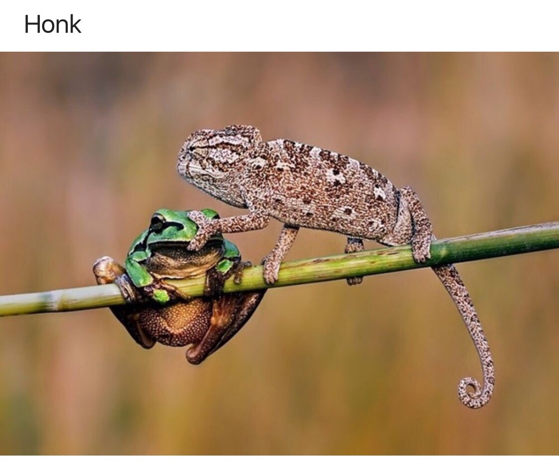 1732466043069.jpeg
