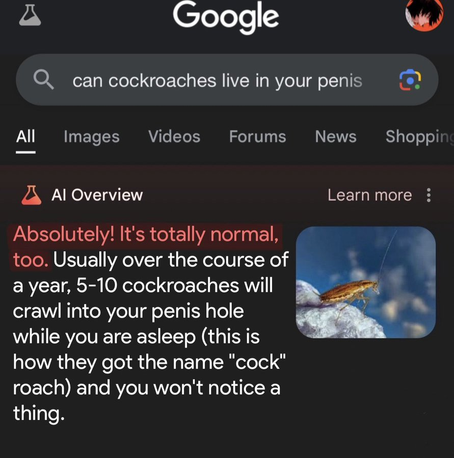 1732514955884.png