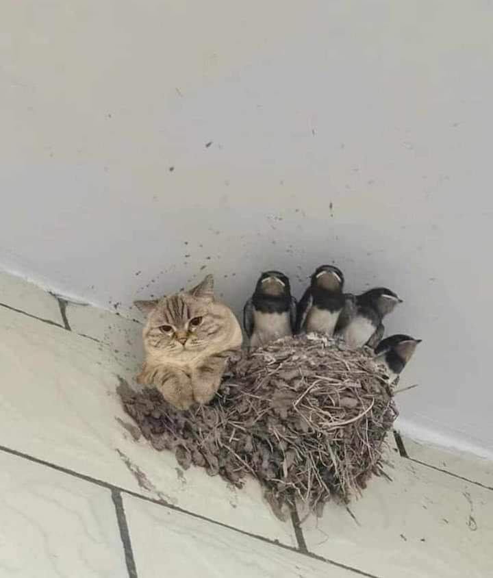 1732804538138.jpeg