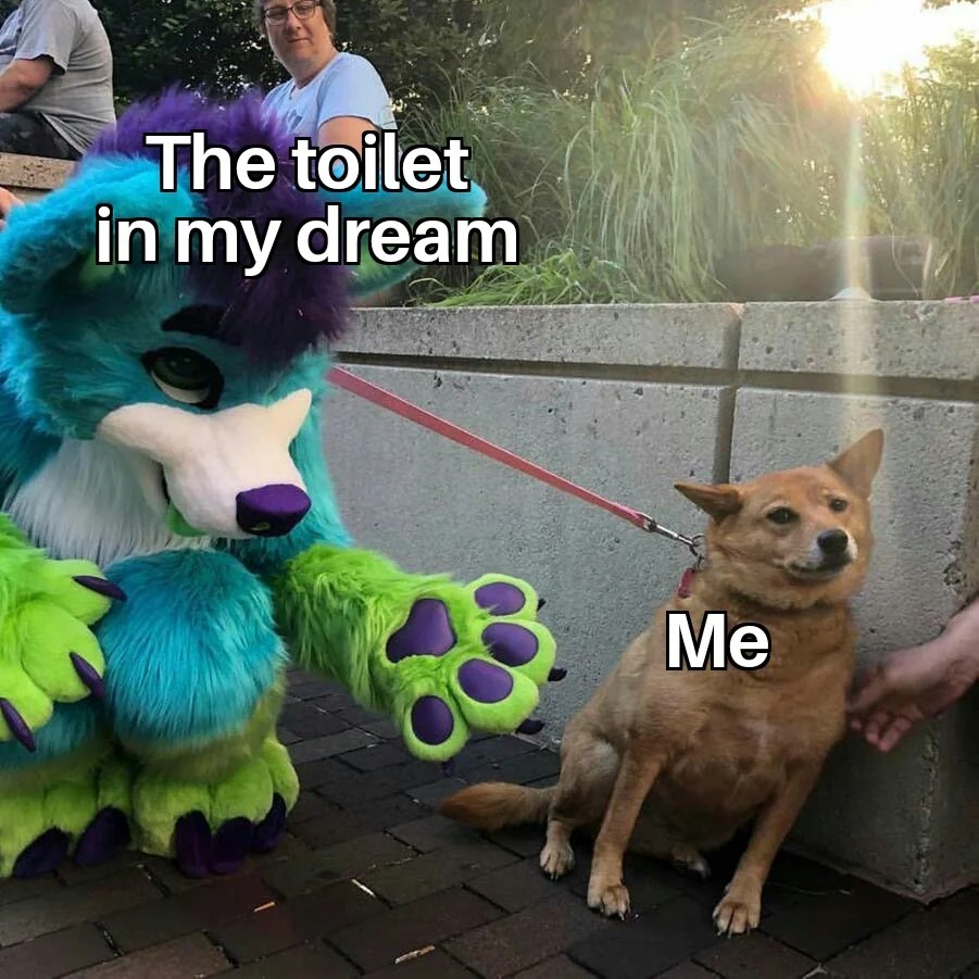 1732984776303.jpeg