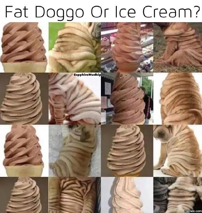 1733086691976.jpeg