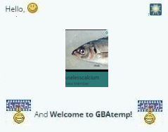 1733154080490.png