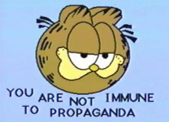 1733221362576.png