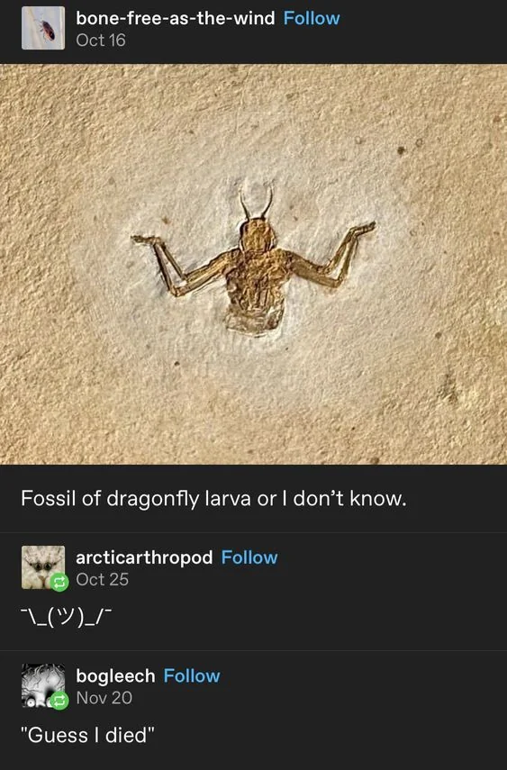 1733495442681.png