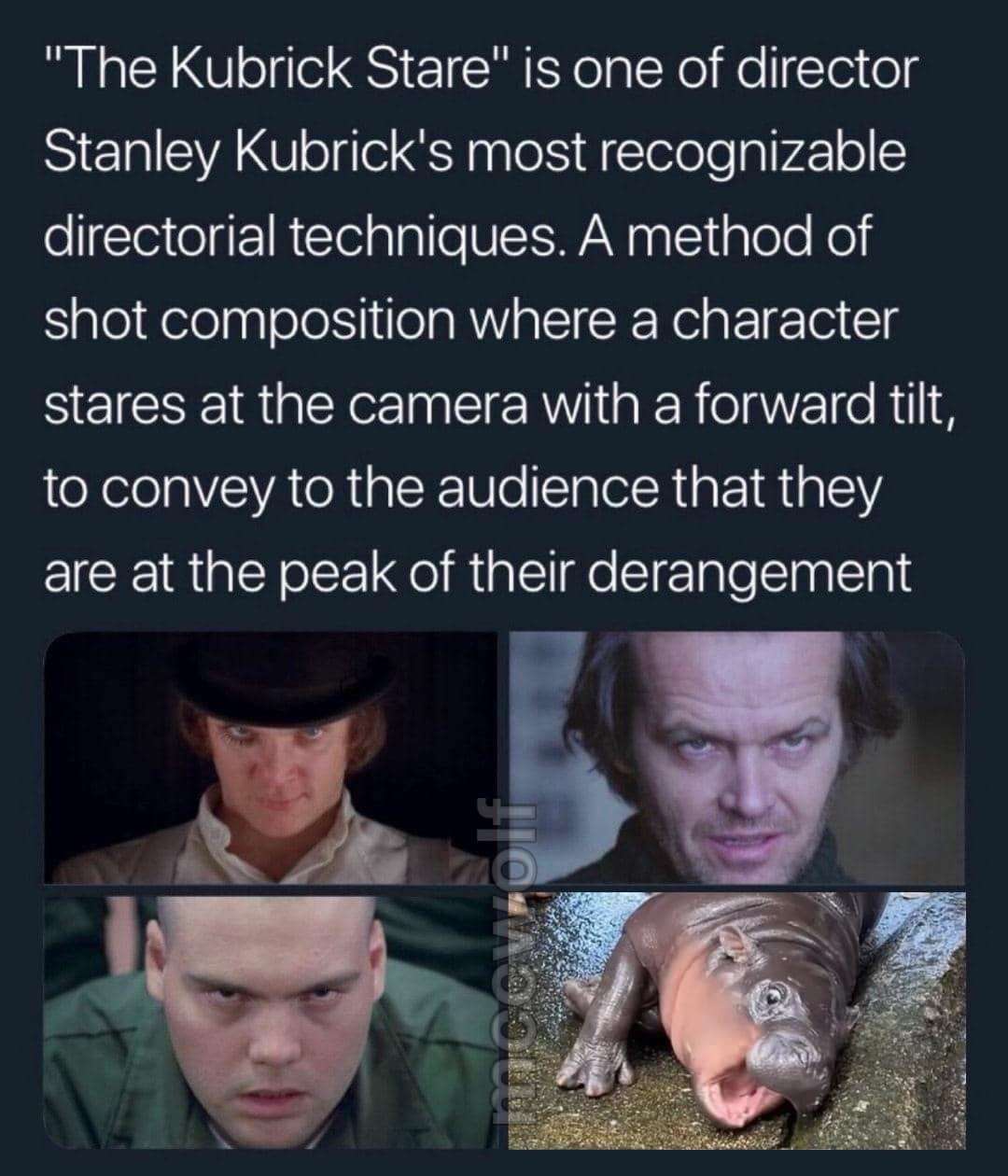 1733593804579.jpeg