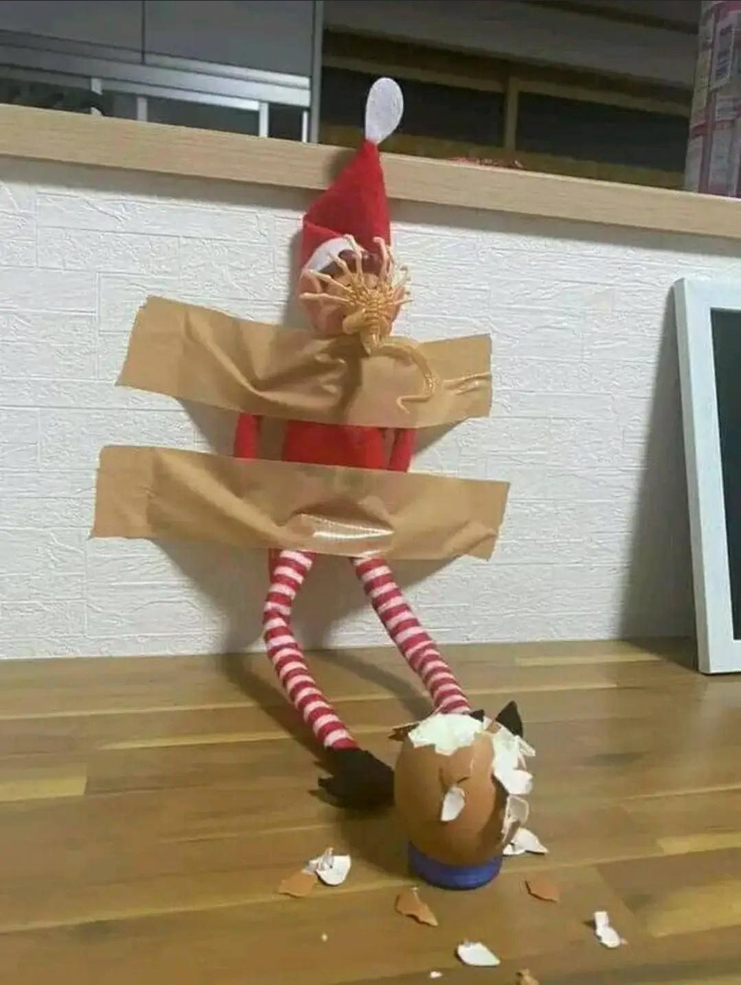 1733830827495.jpeg