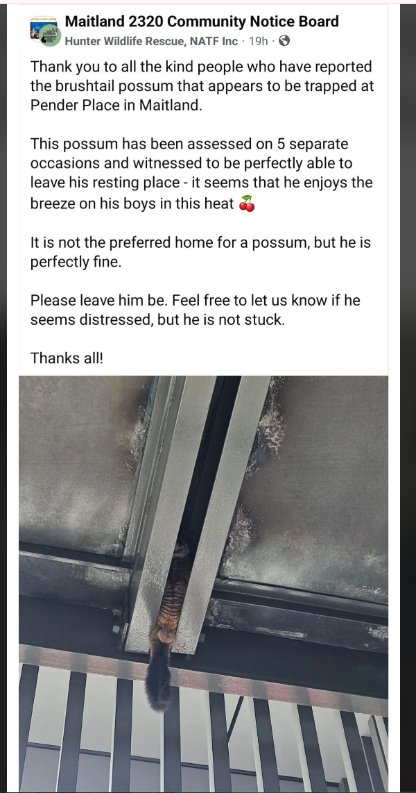 1733982604828.png
