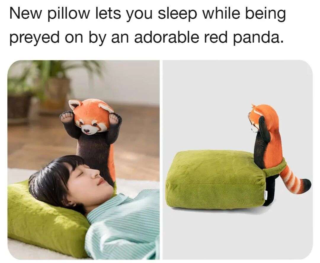 1734016460581.jpeg