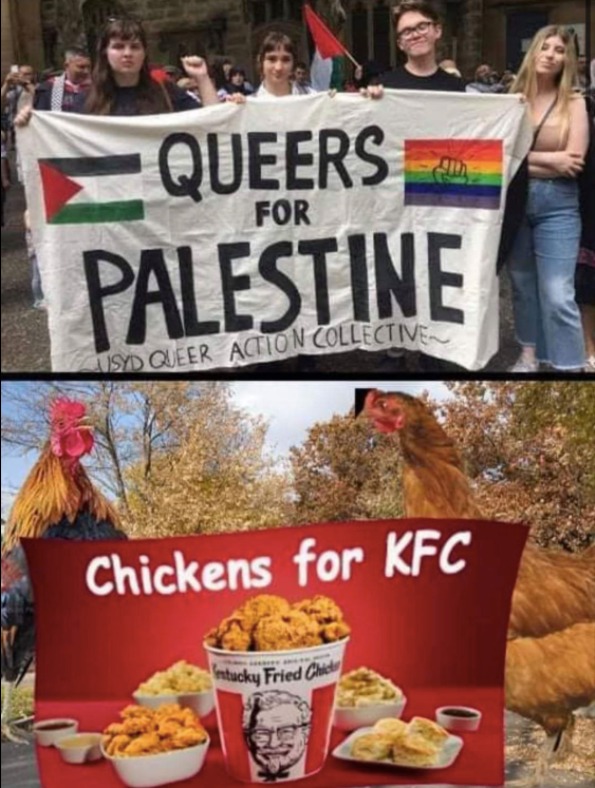 1734037273142.jpeg