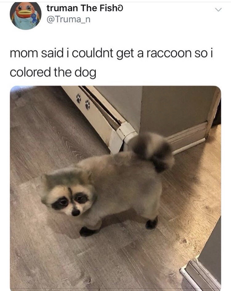 1734117299038.jpeg