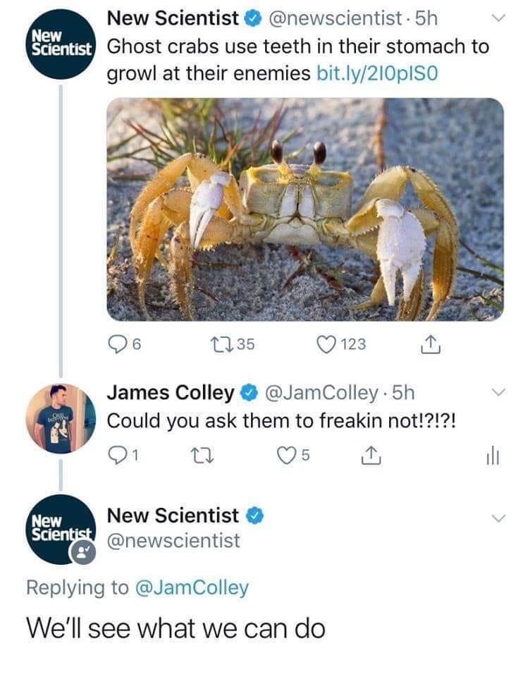1734275375510.jpeg