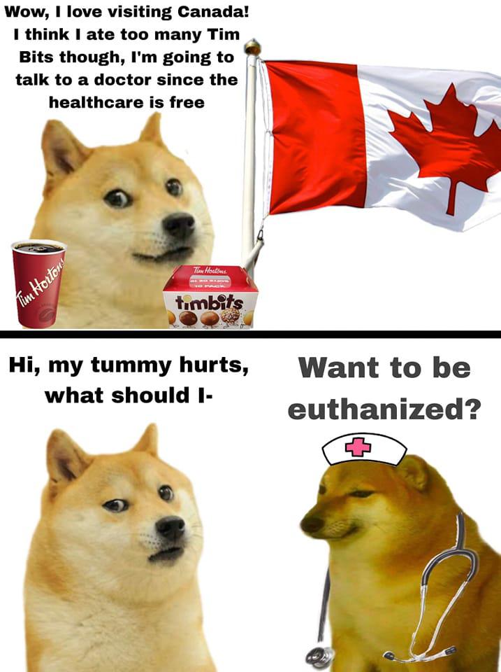 1734394300506.jpeg