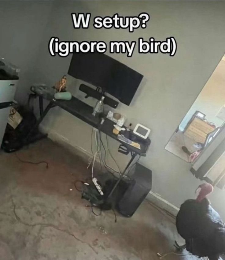 1734511982474.png