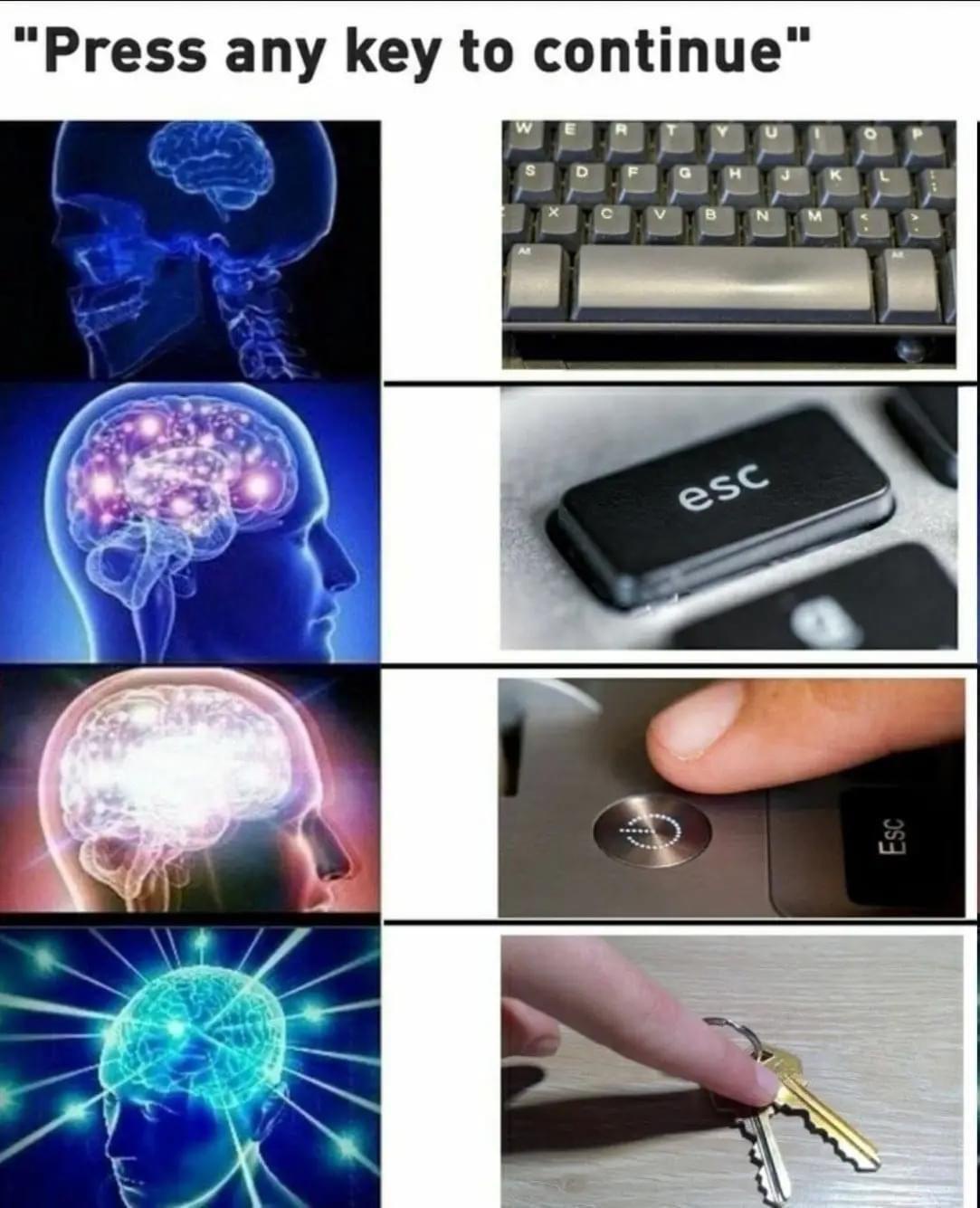 1734968210685.jpeg
