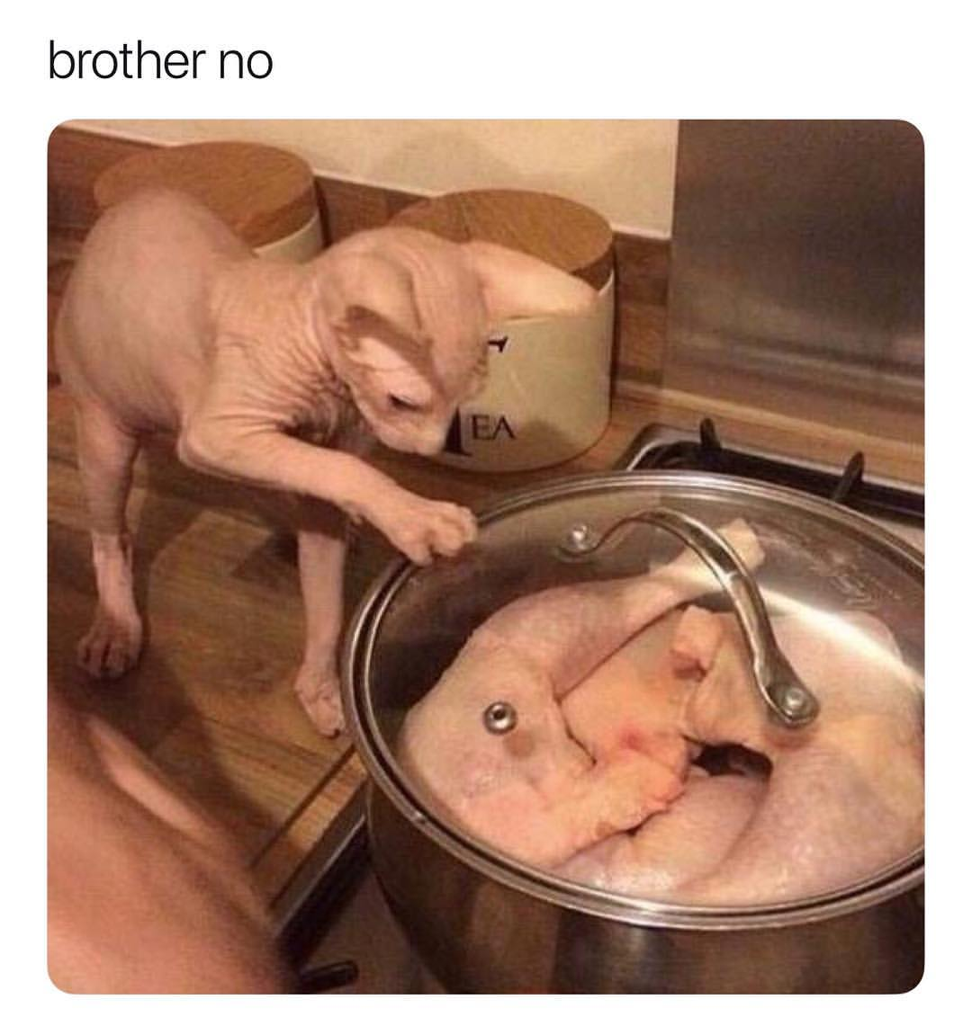 1735022774696.png