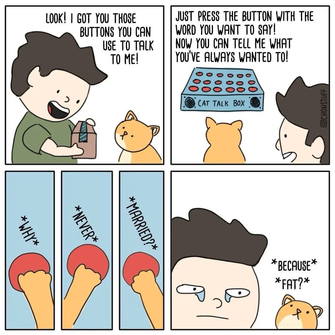 1735068908646.jpeg