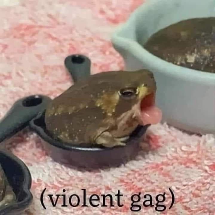 1735105951273.jpeg