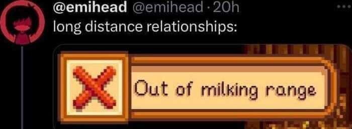 1735140828534.jpeg