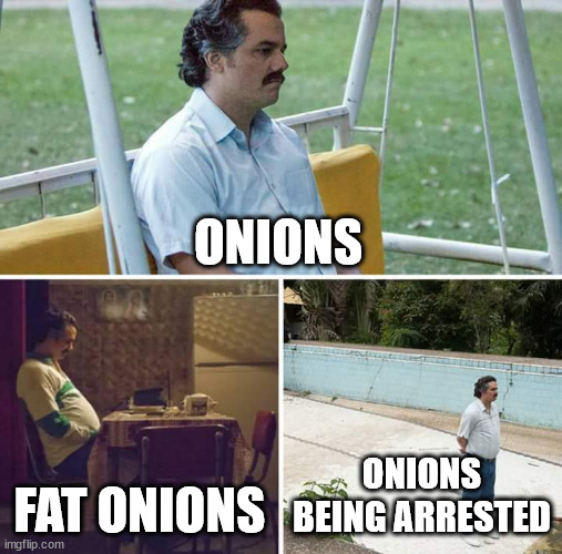 1735178623128.jpeg
