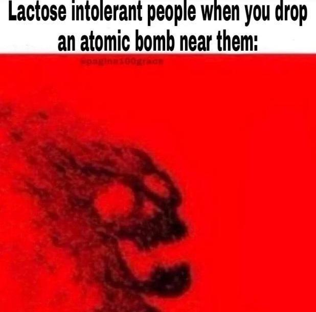 1735277931135.jpeg