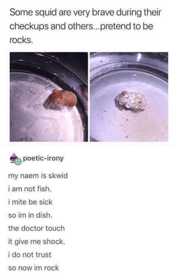 1735412835783.jpeg