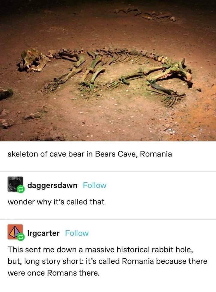 1735479448389.jpeg