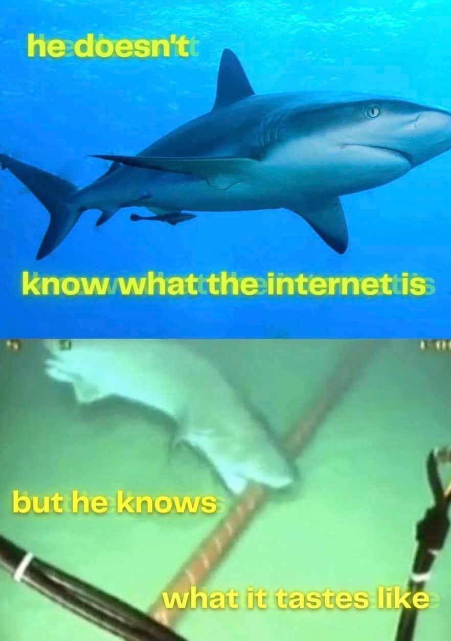1735505024359.jpeg