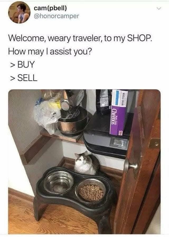 1735623754963.jpeg