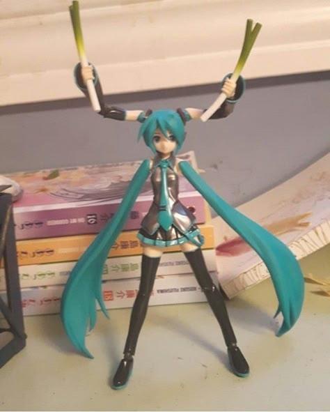 1736005529426.jpeg