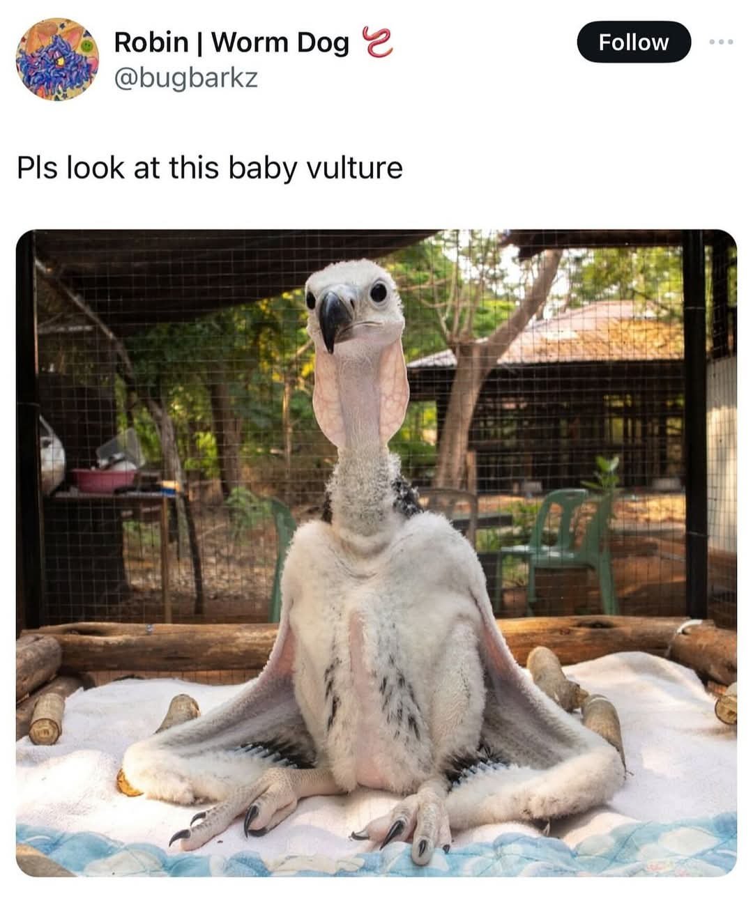 1736583903804.jpeg