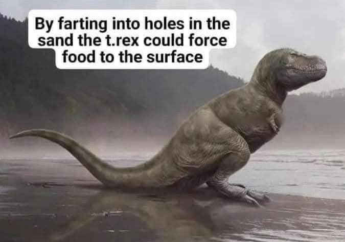 1736781192016.jpeg