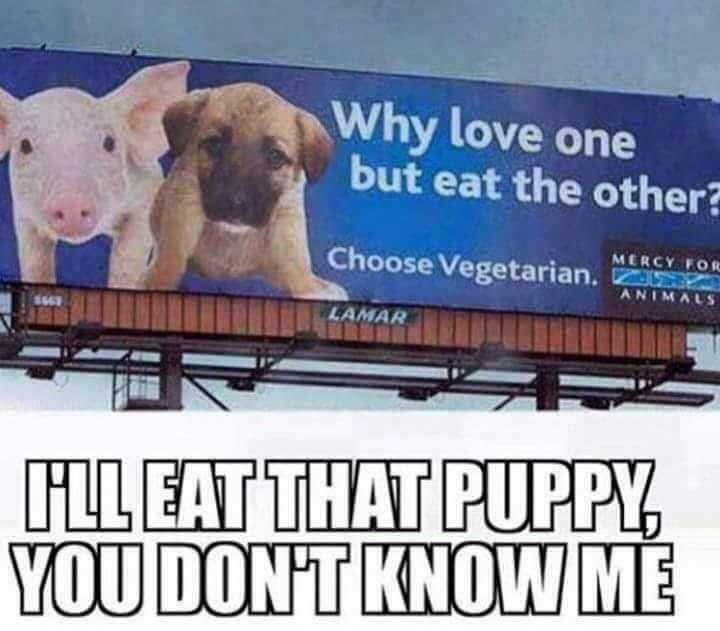 1736831546934.jpeg