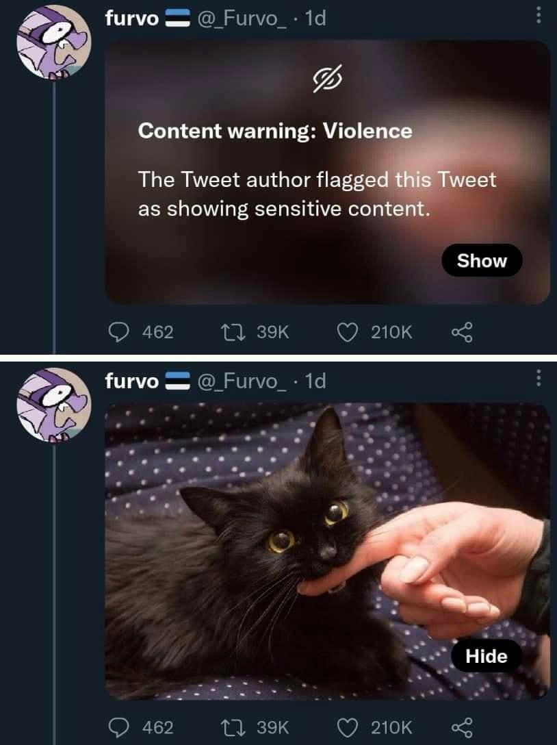 1737032289838.png