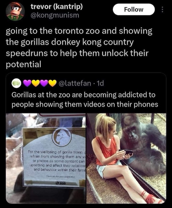 1737107039847.jpeg