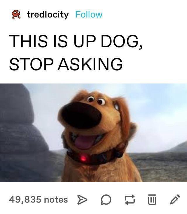 1737300245948.jpeg