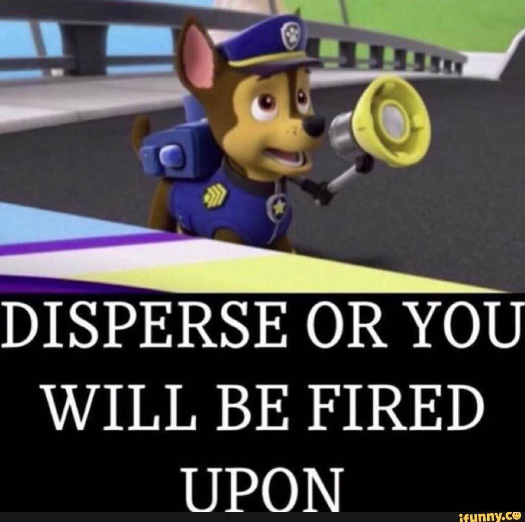1737393901434.jpeg