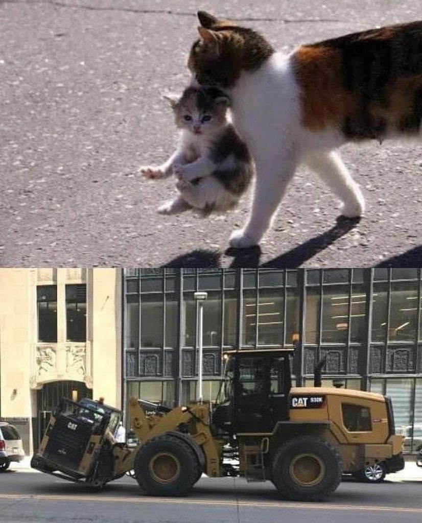 1737426436414.jpeg