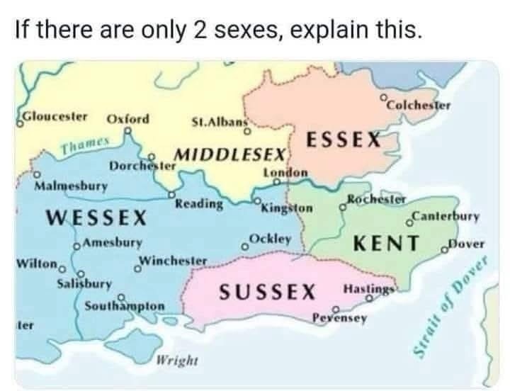 1737648747092.jpeg