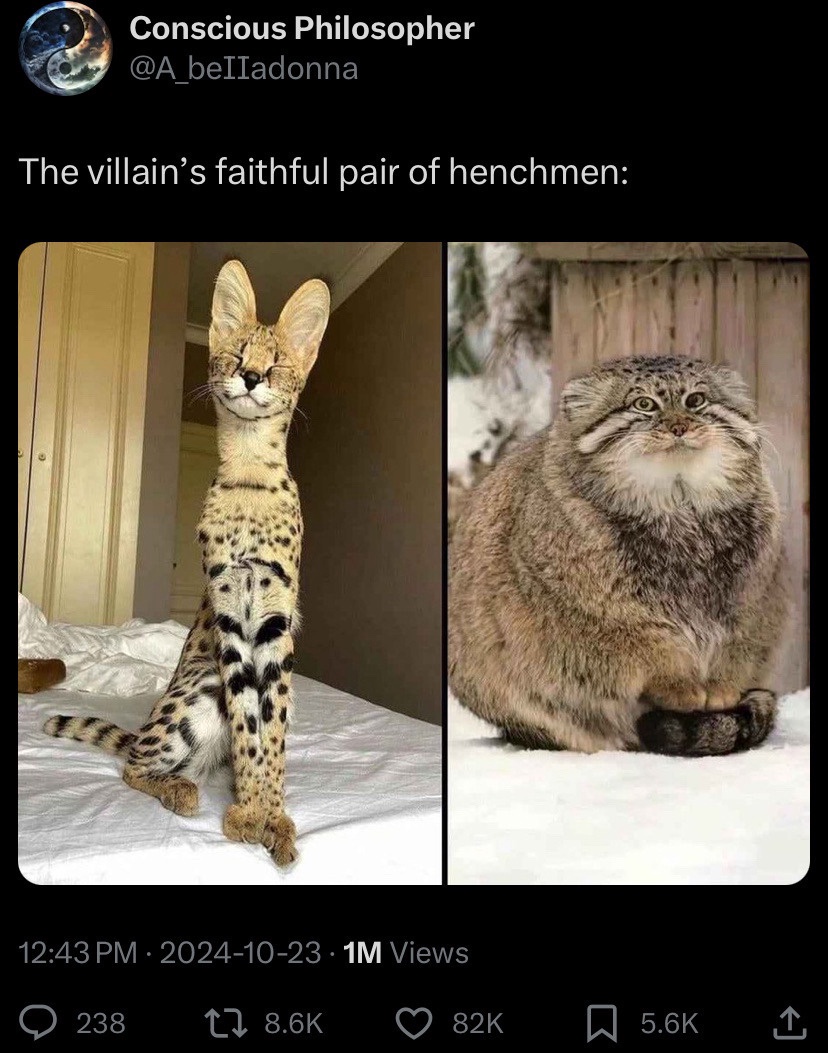 1737902303027.jpeg