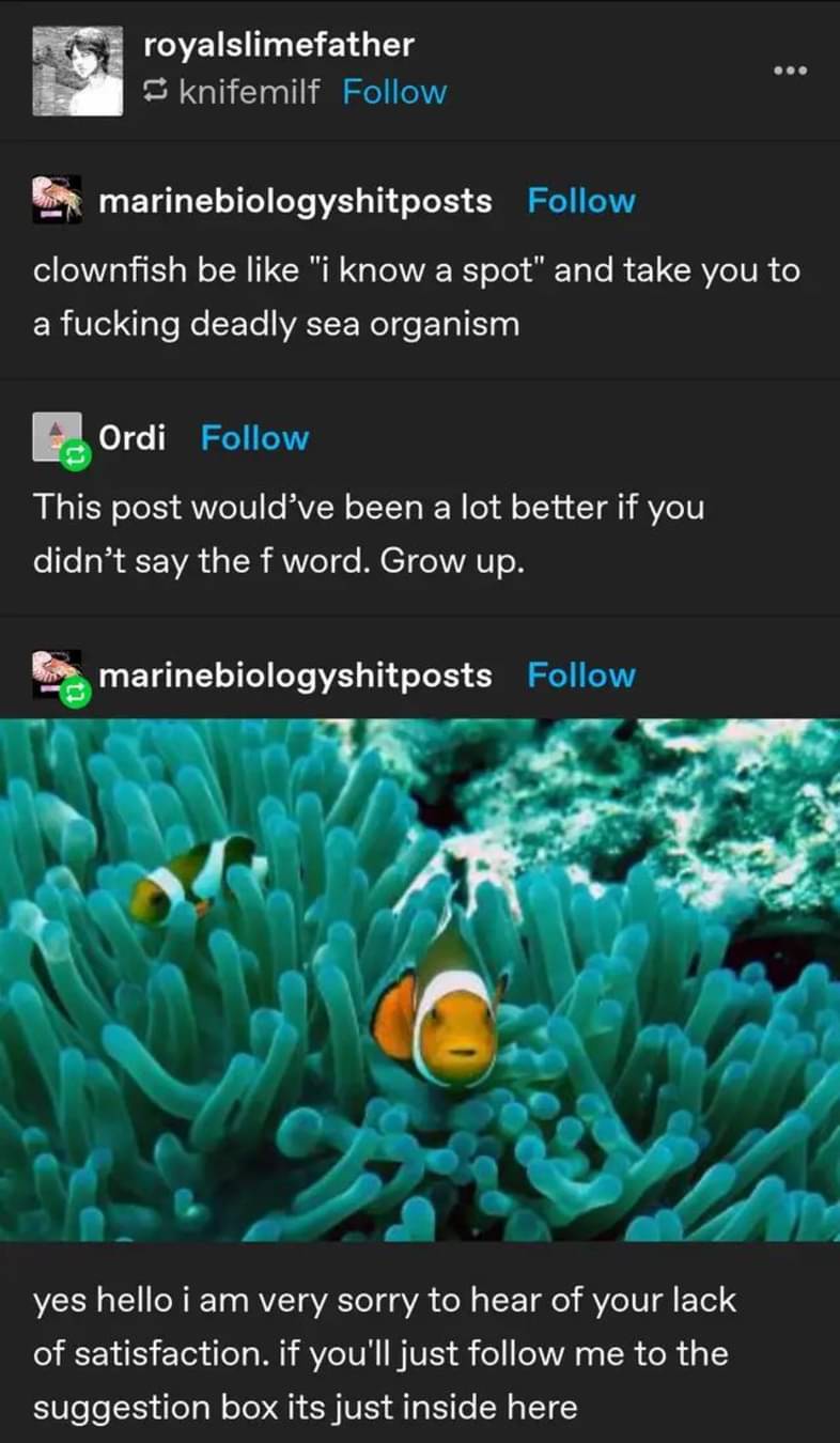 1737994069889.jpeg