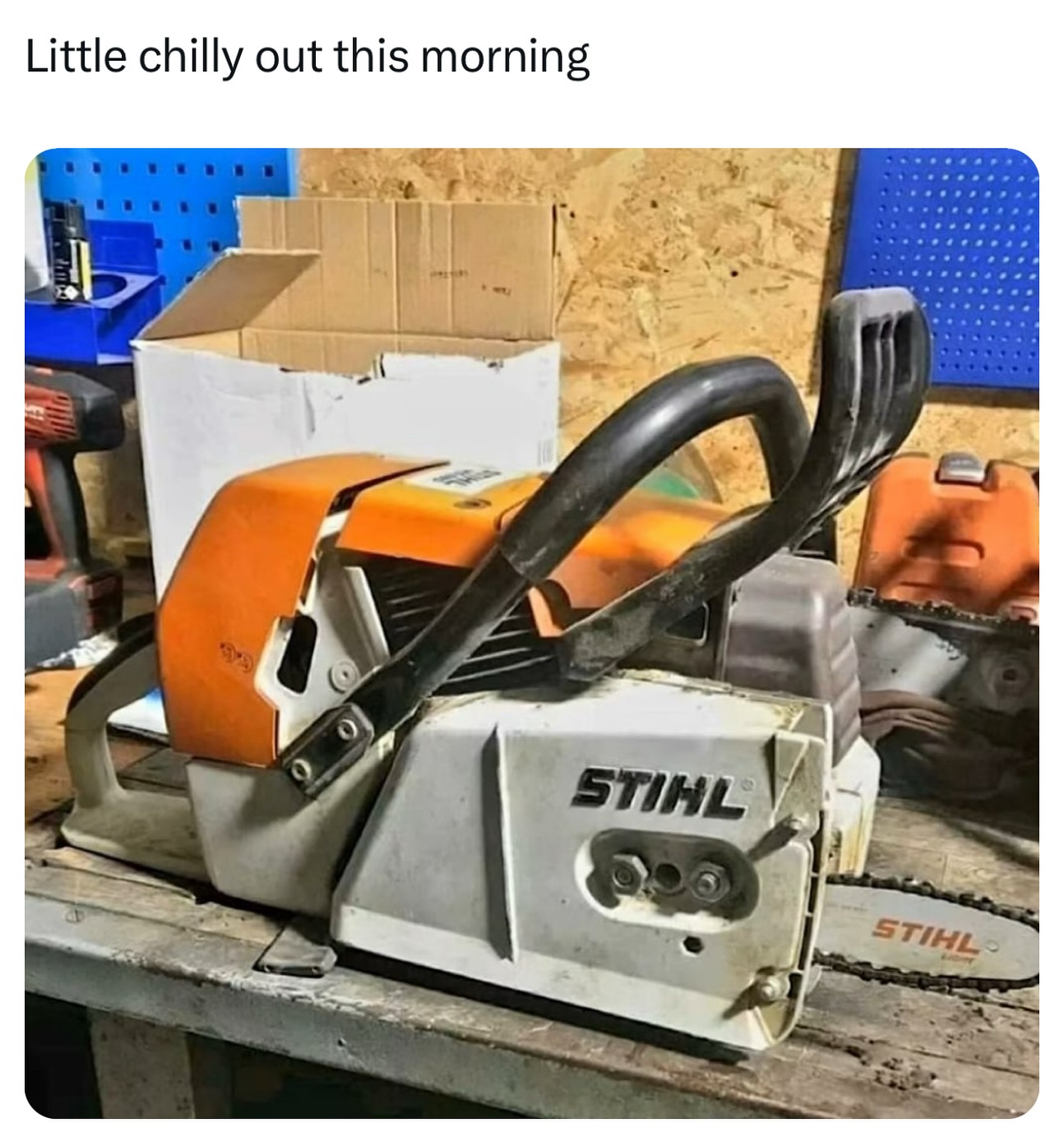 1738304674951.jpeg