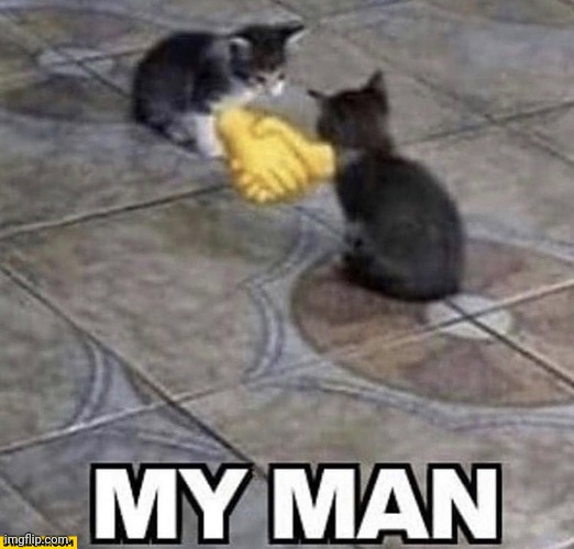 1738510525609.jpeg