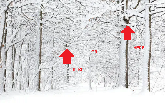 1738519260474.png