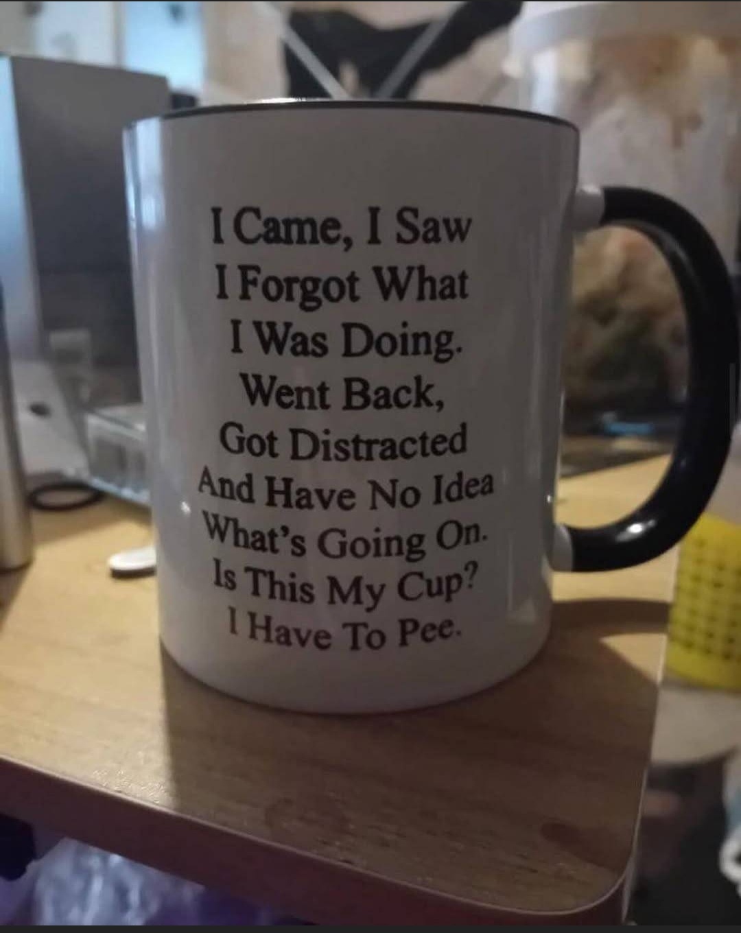 1738594042168.jpeg
