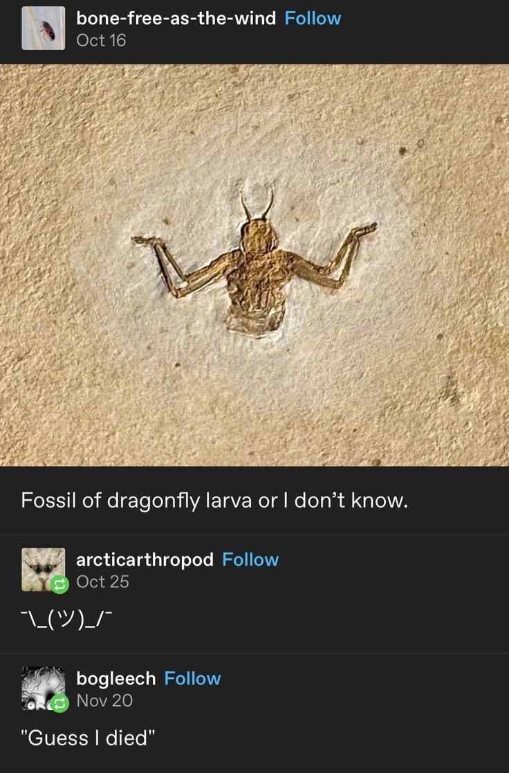 1738821621333.png