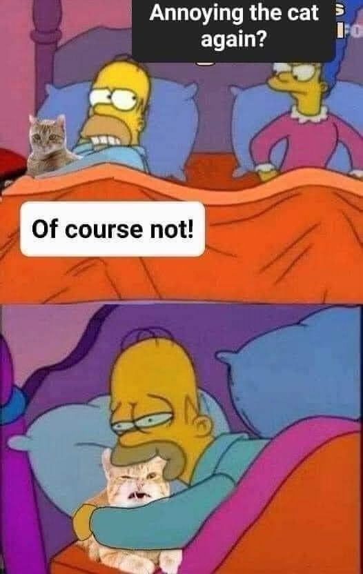1738845852401.png