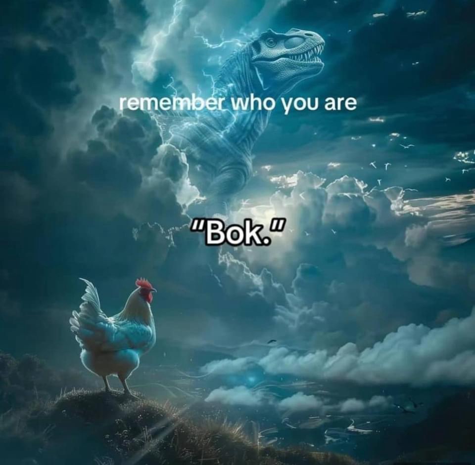 1739093204487.jpeg