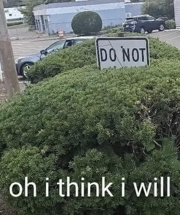 1739111364643.jpeg