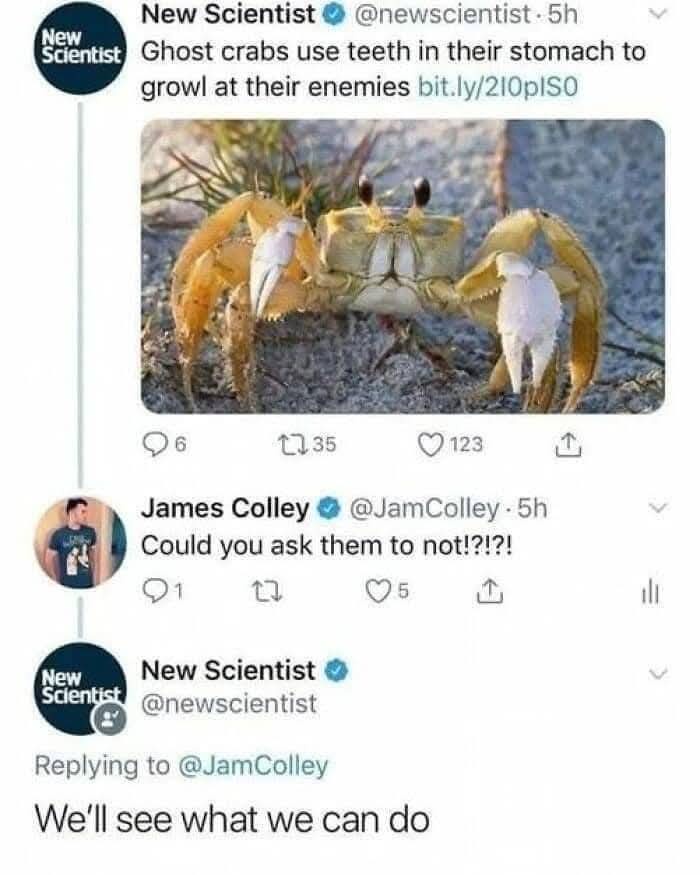 1739200593222.jpeg